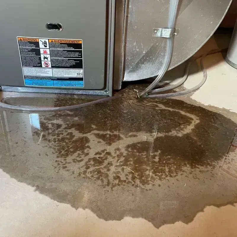 Appliance Leak Cleanup in Silvis, IL